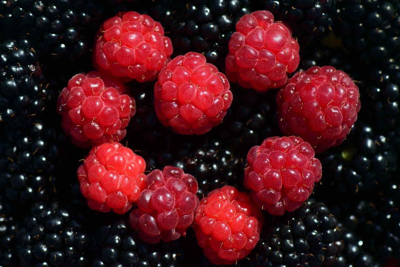 The Science of Antioxidants - Protecting Your Health